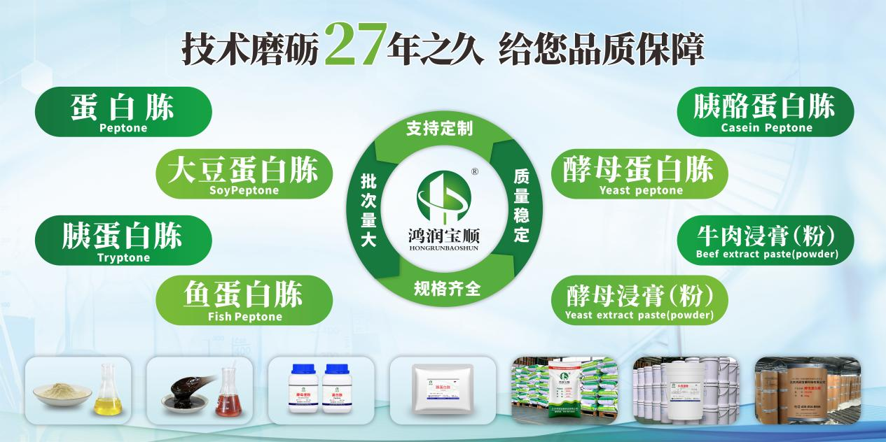 图片9.png