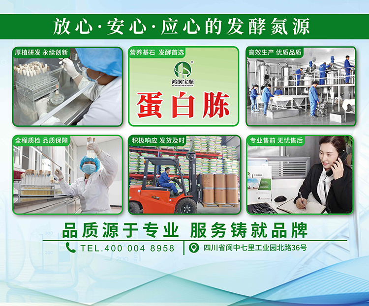 企业实力-KT板右.jpg