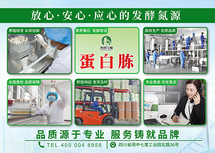 企业实力-KT板右.jpg