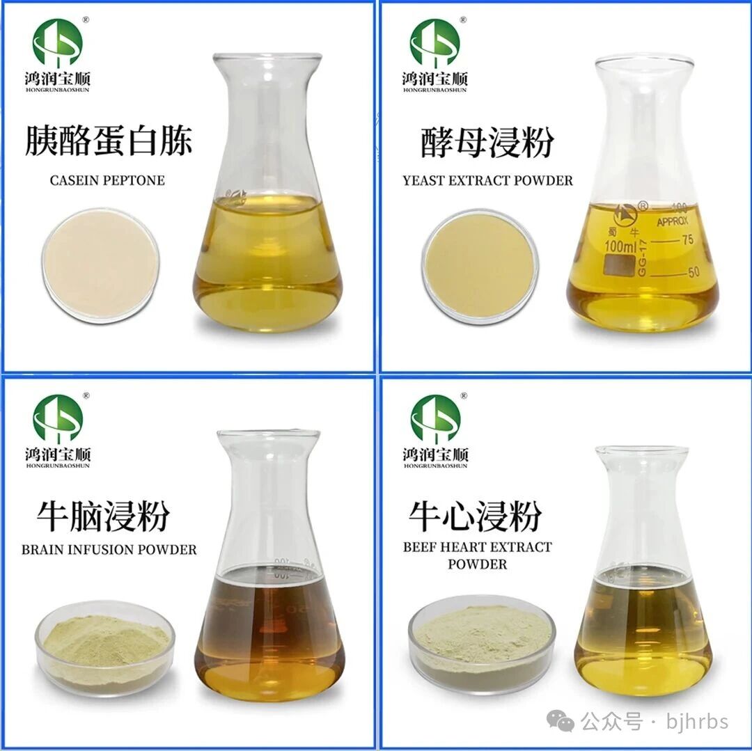 微信图片_2025-12-15_104718_664.jpg 微信图片_2025-12-15_104718_664.jpg