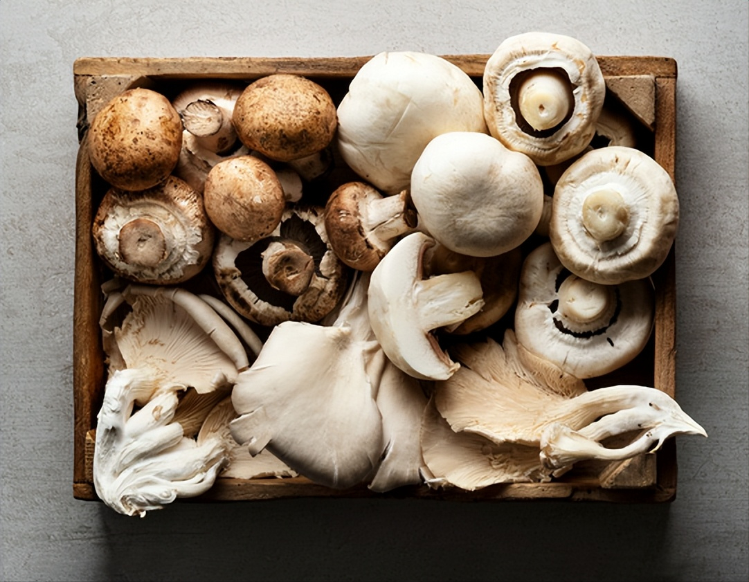 图片2.png 图片2.png