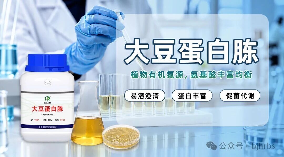 微信图片_2026-10-12_101904_334.jpg