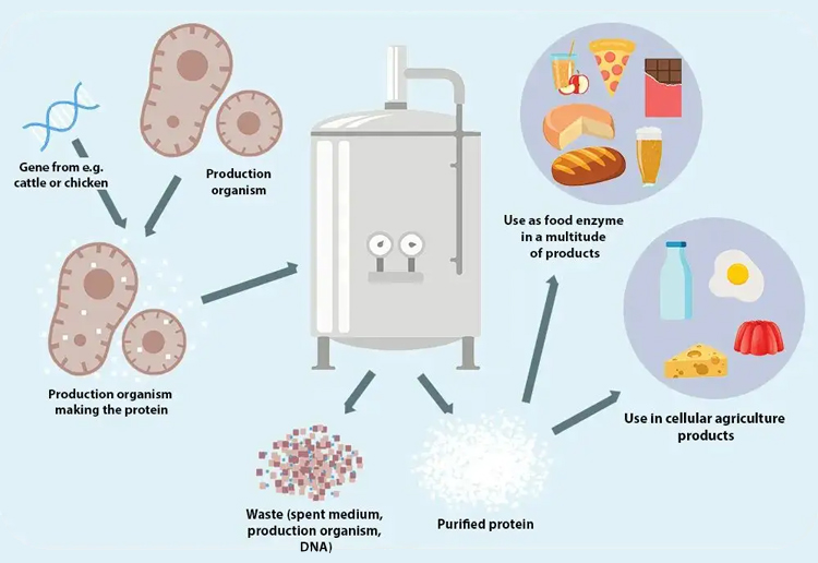 发酵罐染菌的原因分析及解决途径