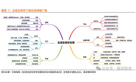 2025年中国合成生物学产业现状分析