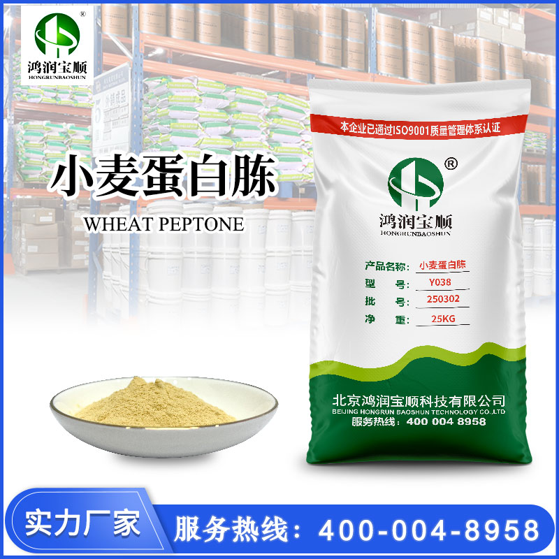 小麦蛋白胨