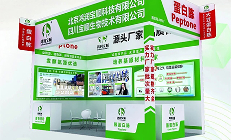 春日赴沪，盛会启幕｜相约上海 API，鸿润宝顺与您共话行业机遇