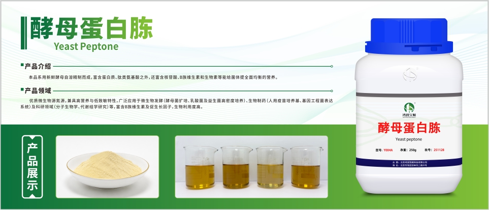 酶制剂
